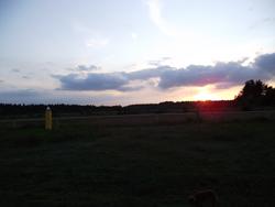 Photos
